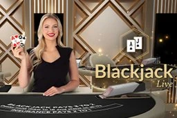 Blackjack VIP 14 DNT