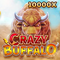 CRAZY BUFFALO