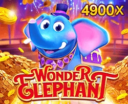 Wonder Elephant