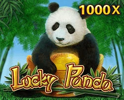 Lucky Panda