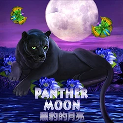 Panther Moon
