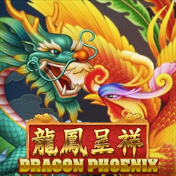Dragon Phoenix