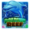 Dolphin Reef