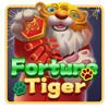 Fortune Tiger