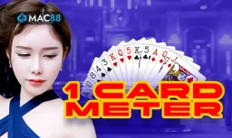 One Card One Day