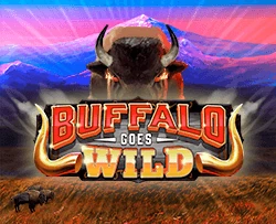 Buffalo Goes Wild