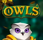 Owls