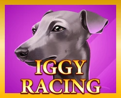 Iggy Racing