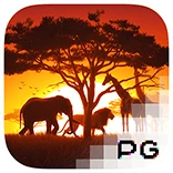 Safari Wilds