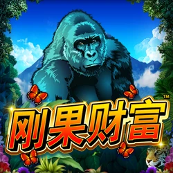 Congo Cash