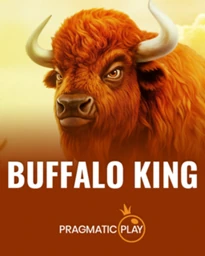Buffalo King