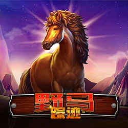 Mustang Trail