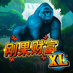 Congo Cash XL