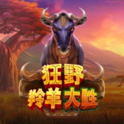 Wild Wildebeest Wins