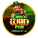 Lucky's Wild Pub
