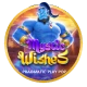 Mystic Wishes
