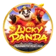 Lucky Panda