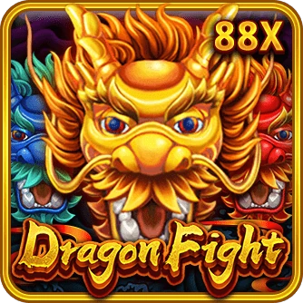 Dragon Fight