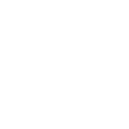 Pegasus