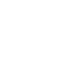Swgs
